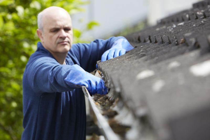 Gutter Maintenance in Humble